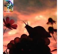 No Joy - Bugland [Vinyl LP] [VINYL] [Vinilo]