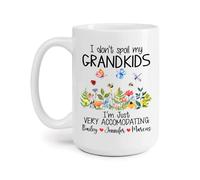 No Malcrío A Mis Nietos Tazón Novedad Tazón De Café Graciosa Tazas Té Regalos Novedosos Para Familiares Trabajo Colegas 330Ml