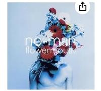 No Man - Flowermouth