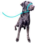 No más tirones. Correa antitirones, figura 8, cuello halter, talla única, nailon trenzado súper suave, cómodo, hace que tus paseos sean más agradables. Instrucciones incluidas (idioma español no