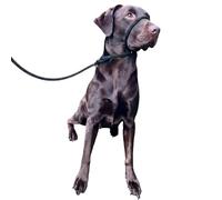 No más tirones de cuerda. Figura de campo 8 / cabestro / cabestro / cabestro / cabestro / cabestro para todos, nailon trenzado supersuave, cómodo, hace que tus paseos sean más agradables (negro, 1 cm)