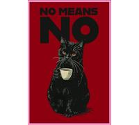No means no cat design Lined Notebook: 120 Pages, 6x9 Inch, Matte Finish Cover: Professional College Ruled Journal for School, Work, and Personal Use. Elegant Daily Diary for Writing and Note-taking