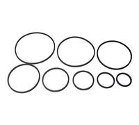 No Name 340071 - Juego de correas para borde