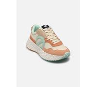 No Name Carter Jogger 39 Multicolor