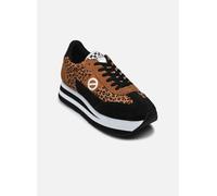 No Name Flex M Jogger 37 Marrón