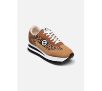 No Name FLEX M JOGGER 40 Marrón