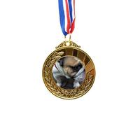no/no Bulldog - Cinta para fotografía de animales de compañía, ganador del premio de oro