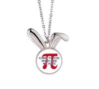 no/no Cálculo perímetro matemático Pi conejo collar colgante conejito animal joyería regalo