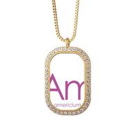 no/no Chestry Elements - Collar con colgante de mesa de época Actinide Americium Am con diamantes de cristal dorado