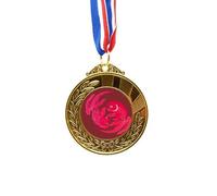 no/no Cinta de pintura de cultura japonesa Red Fish Gold Award Medal First Place