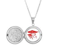 no/no Cloud Beautiful Innovation - Collar con medallón de prosperidad, joyería para regalo de cumpleaños