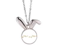 no/no Collar con colgante de conejo con fórmula matemática que expresa equivalencia computacional, regalo de joyería de conejo