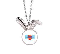 no/no Collar con colgante de conejo de extinción de conservación de animales, joyería de regalo