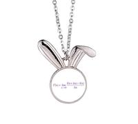 no/no Collar con colgante de conejo de fórmula matemática con expresiones y cálculos de cálculos, joyería de animales de conejo, regalo de joyería