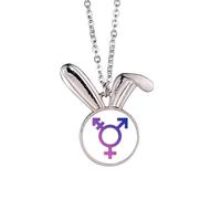no/no Collar con colgante de conejo de igualdad de arco iris con identidad de género, joyería de regalo