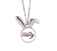 no/no Good Man Indates Symbolic Direction. Collar con colgante de conejo, regalo de joyería de animales