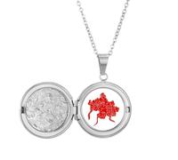 no/no Hermoso collar con medallón de flores ricas Art Deco para guardar fotos, regalo de cumpleaños