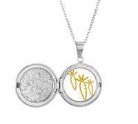 no/no Vegetable Expression - Collar con medallón de zanahoria feliz para guardar fotos, regalo de cumpleaños