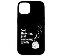 No prosperar, solo fumar suavemente: humor agotado Carcasa para iPhone 13
