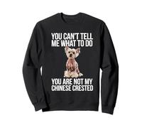 No puedes decirme qué hacer con cresta china Sudadera