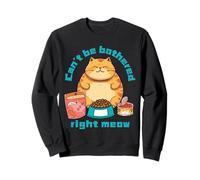 No puedo molestar, miau, divertido gato naranja, gordo, gatito Sudadera