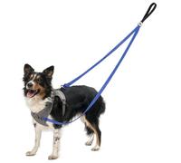 No Pull - Correa doble para perros antitirones, 2 puntos de control para arnés antitirones, reflectante, mango acolchado, 1,2 m de conversión en una sola correa, para perros grandes y medianos (azul)