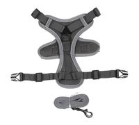 No Pull Dog Harness and Leash Set - Adjustable Pet Vest for Small Cats (GRAY,M)