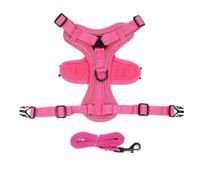 No Pull Dog Harness and Leash Set - Adjustable Pet Vest for Small Cats (Rose,S)