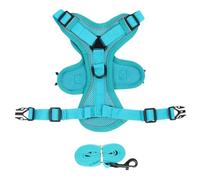 No Pull Dog Harness and Leash Set - Adjustable Pet Vest for Small Cats (Sky Blue, L)
