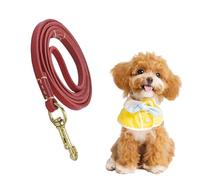 No Pull Dog Training Rope, Leather Dog with Brass Clasp, Ergonomic Safetys Belt for Medium Dogs, Comfortable Walking Lead for Training, Car Safety, Outdoor Adventures