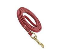 No Pull Rope, Dog Training Behavior Aid, Ergonomic Safety Belt, 61.02x0.24x0.04 Inches Compact Leash for Car Restraint, Comfortable & Adjustable, for Walking & Obedience Training