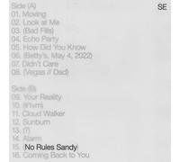 No Rules Sandy [Vinilo]