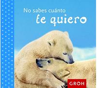 No Sabes Cuanto Te Quiero