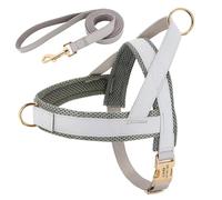 No Se Ajusta El Chaleco del Arnés del Arnés del Perro De Nylon Ajustable Set para Perros Medianos Y Grandes Perros Labradores Pastor Alemán Perros,Gris,XS