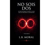 NO SOIS DOS: LO QUE OCURRE CUANDO EL ALMA DEJA DE PERCIBIR LA SEPARACION - VOLUMEN I (LLAMAS GEMELAS)