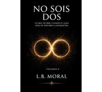NO SOIS DOS: LO QUE OCURRE CUANDO EL ALMA DEJA DE PERCIBIR LA SEPARACION - VOLUMEN II (LLAMAS GEMELAS)