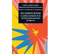 No somos boom: La polémica instalación de las narradoras latinoamericanas del siglo XXI