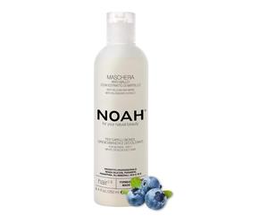 Noah arandanos anti-amarillo mascarilla capilar 250ml