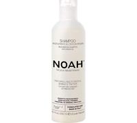 Noah Champú Regenerador con Aceite de Argán Hair 1.4 250ml