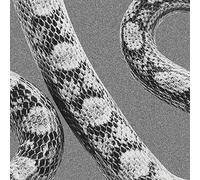 Noah Gundersen - God Don't Talk To Strangers/Lady Of The Ocean [Vinilo]