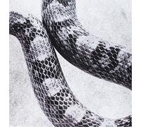 Noah Gundersen - I'M Alright/Fine [Vinilo]