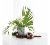 Noah Gundersen - White Noise [2Lp]