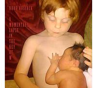 Noah Kussack - A Momentary Lapse In The Key Of W