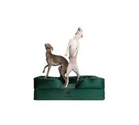 NOAH & PAW Cama grande para perro, 35 x 25 x 11 pulgadas, camas ortopédicas para perros, espuma viscoelástica de cáscara de huevo infundida con gel de refrigeración, funda interior, impermeable,