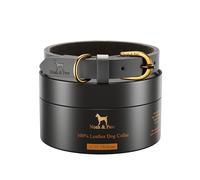 NOAH & PAW Collar S para Perros, Cuero Genuino Encerado, Hebilla Metálica Resistente, Unisex, Cuello 11-15 Pulgadas (Gris)