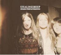 Noah & the Papermoon [Vinilo]