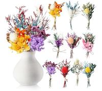 Noaxylic 10 Paquetes de Mini Ramo de Flores Secas Naturales, Mini Ramo Mixto, Decoración de Flores Secas, para Arte Artesanal, Marco de Fotos, Decoración Diaria, Fiesta, Decoraciones de Boda(A)