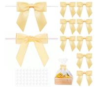 Noaxylic 50 Piezas Mini Lazos de Cinta de Raso, Lazos de Regalo, Lazo Decorativos de Cinta de Satén, para Envases de Regalos, Bolsas de Dulces, Manualidades, Costura, Bodas, Cumpleaños, Fiestas