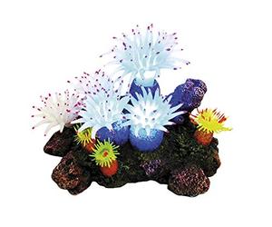 Nobby 28598 APLYSINA - Adorno para Plantas con Luces LED (16,5 x 12,0 x 11,0 cm)
