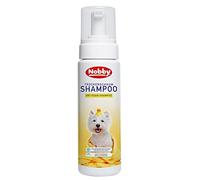 Nobby 74879 Champú de Espuma Seca 230 ml